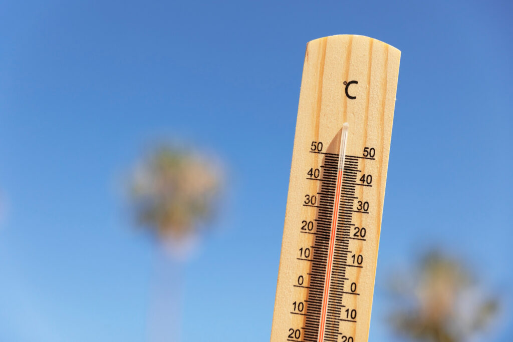 Summer Fire Risks