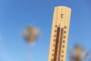 Summer Fire Risks